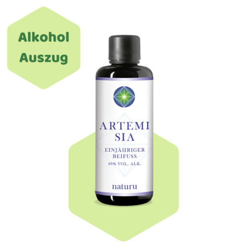 Artemisia annua als alkoholischer Auszug von Naturu